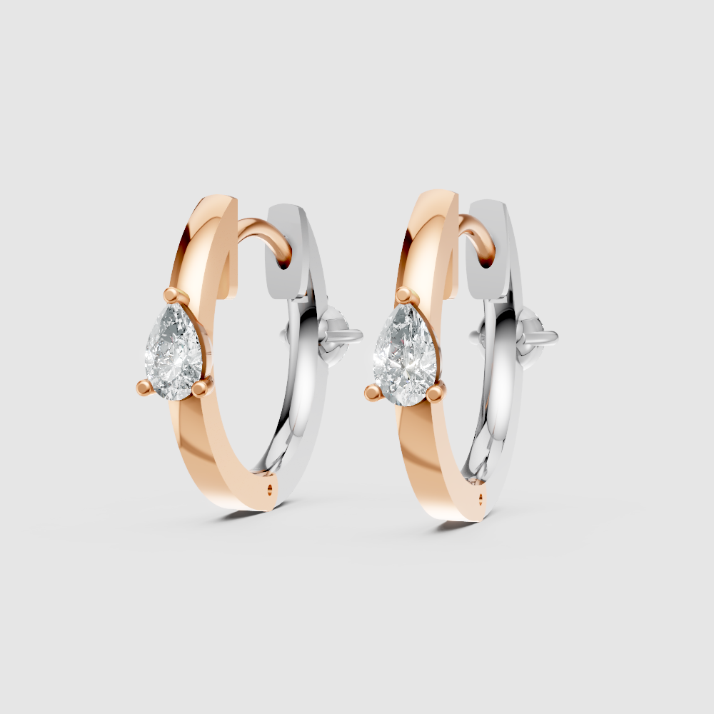 Elara Shine Dual Earrings