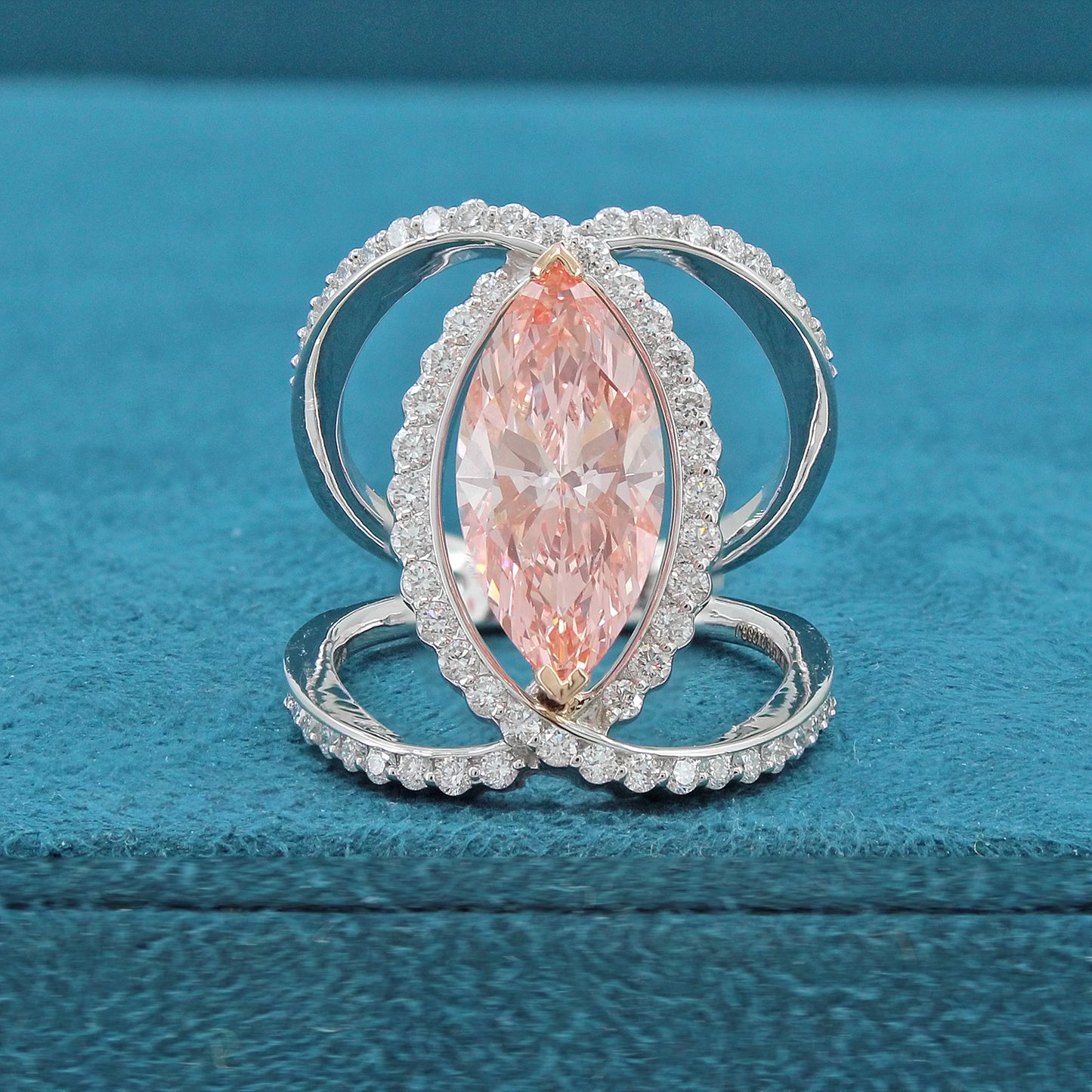 Nyelle Halo Diamond Ring