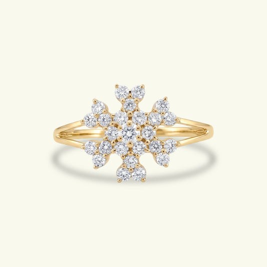 Aris Diamond Ring