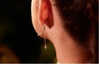 Firefly Sparkle Plan | Installments